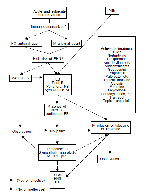 대상포진과 대상포진 후 신경통 치료 순서도