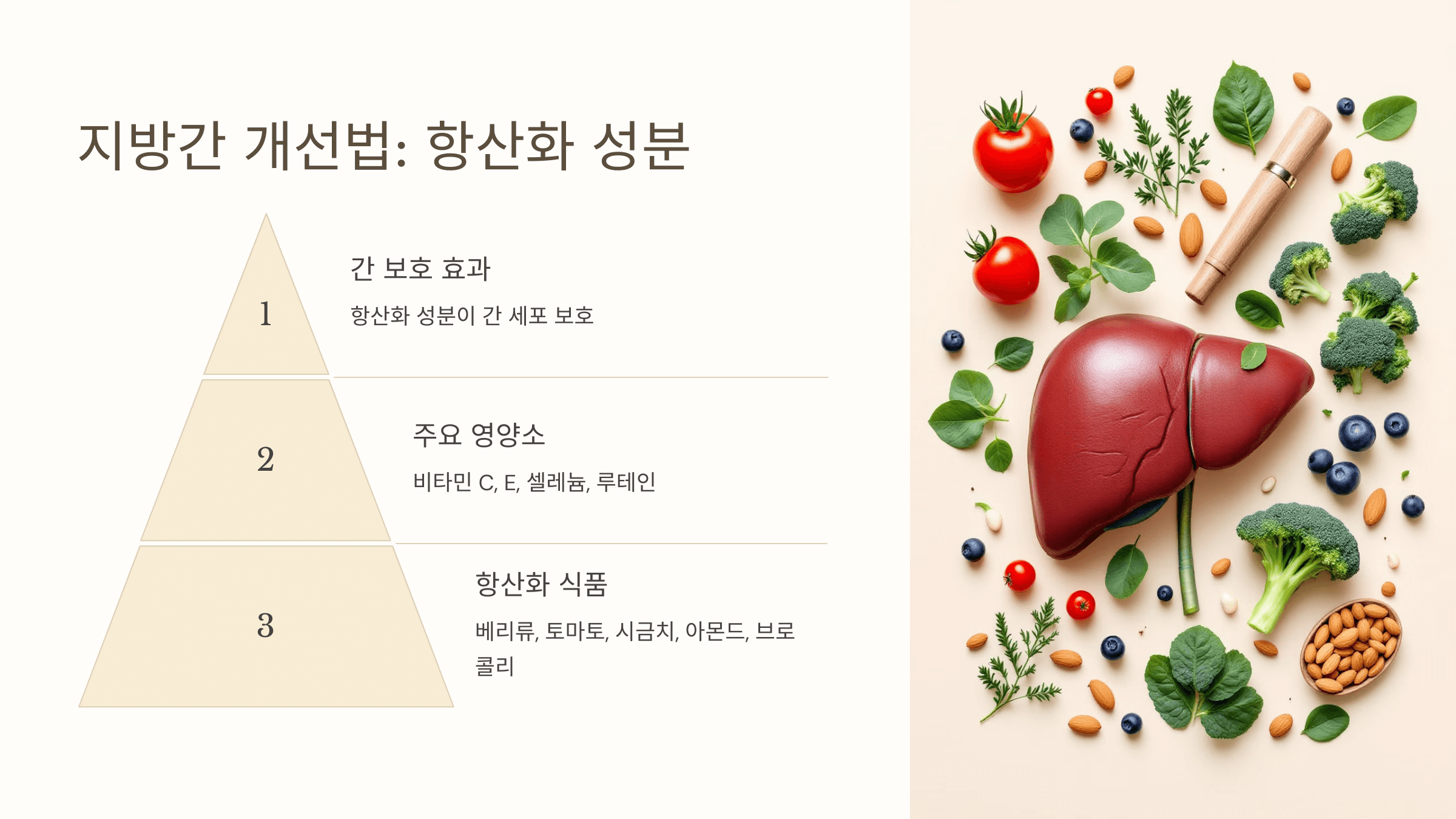 지방간과 관련된 사진입니다.