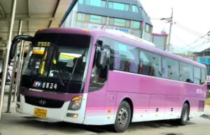 경산 시외버스터미널 시간표-시외버스 이미지