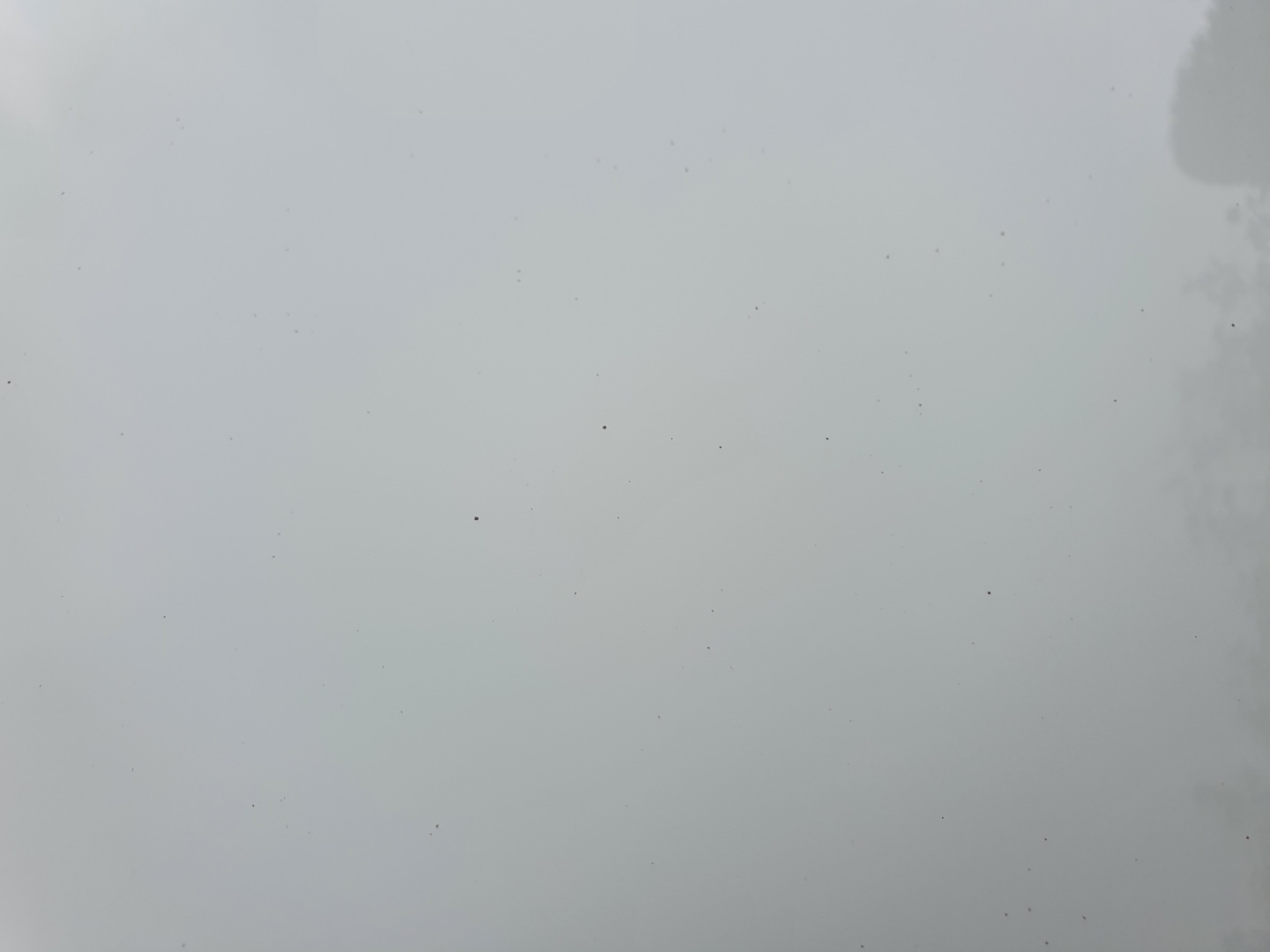 타르묻어있는-모습