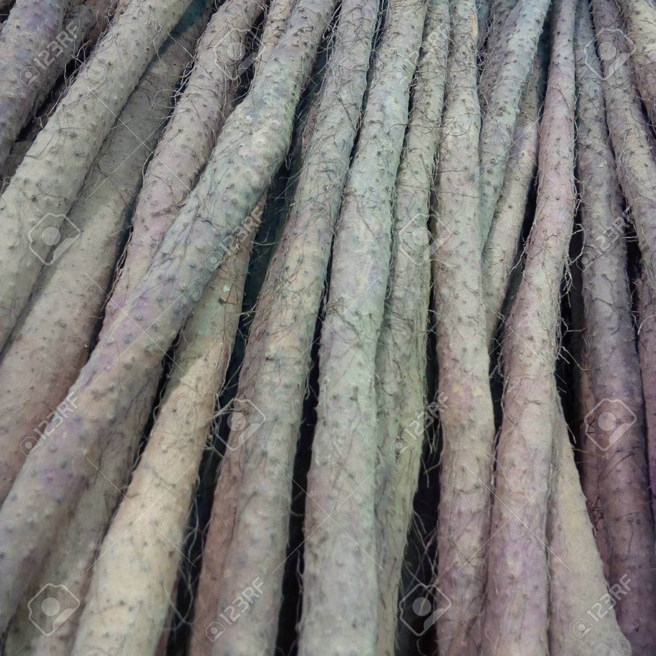 마즙의 효능과 손질 및 보관법