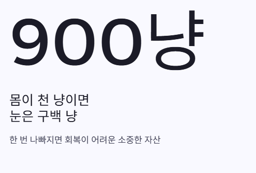 눈의가격