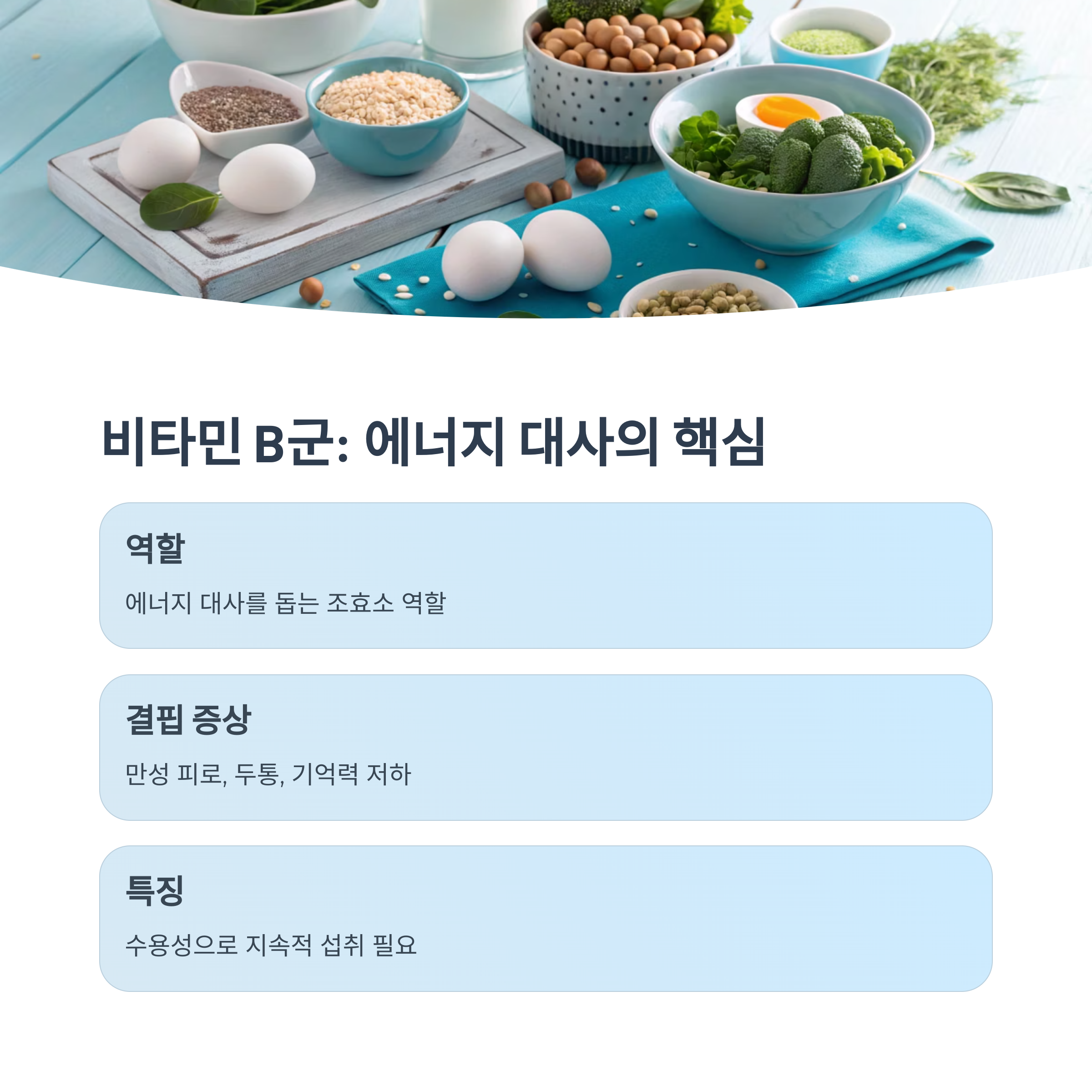 비타민 B군 에너지 대사의 핵심