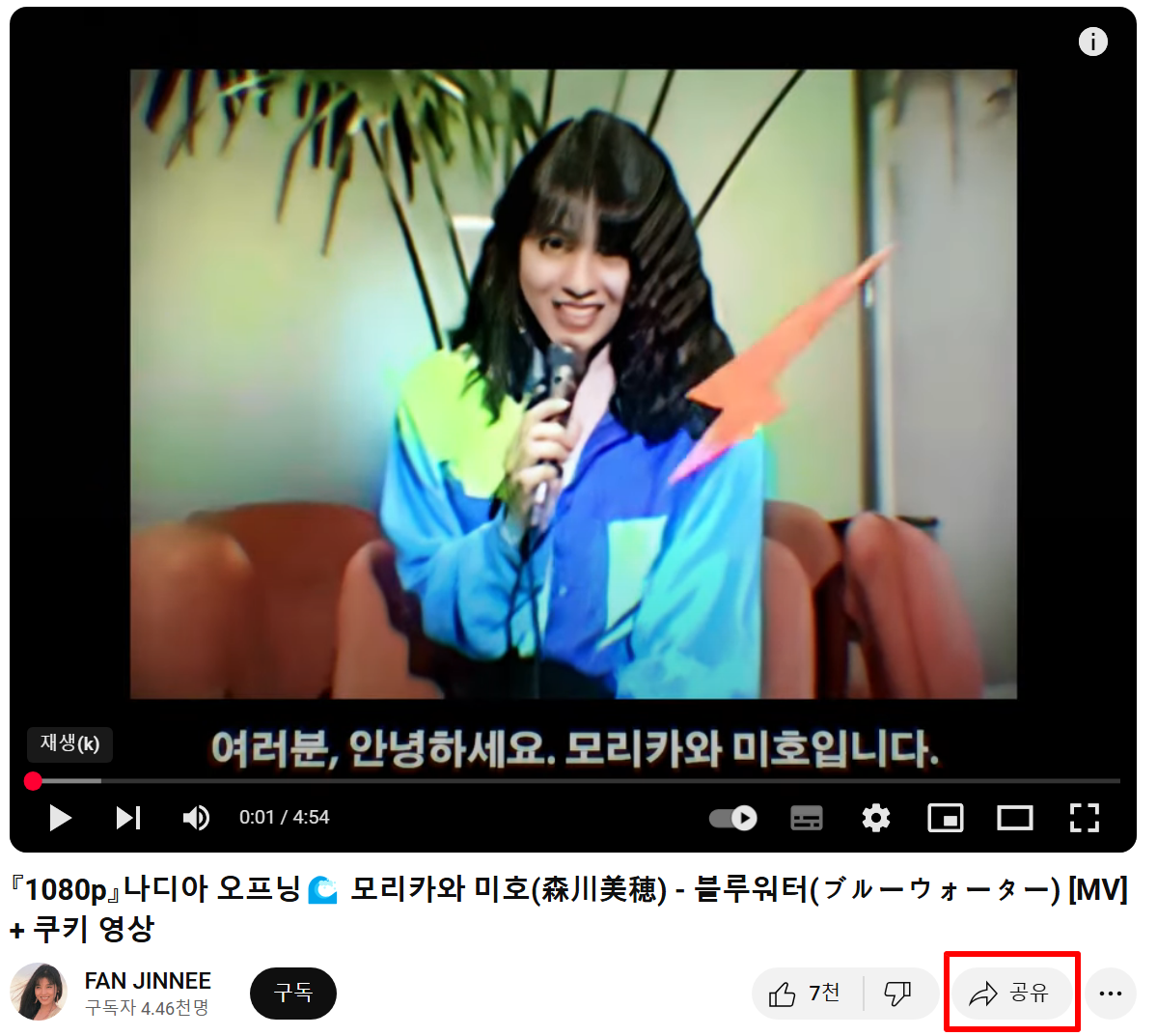 4K Video Downloader 다운로드