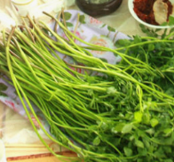 미나리 효능 부작용 고르는법 칼로리