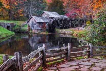 소규모 가축 사육 시스템 – 단백질 자급을 위한 닭·오리·토끼 키우기