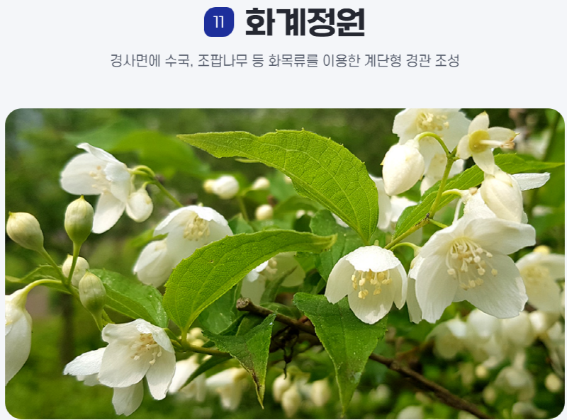 물맑음 수목원