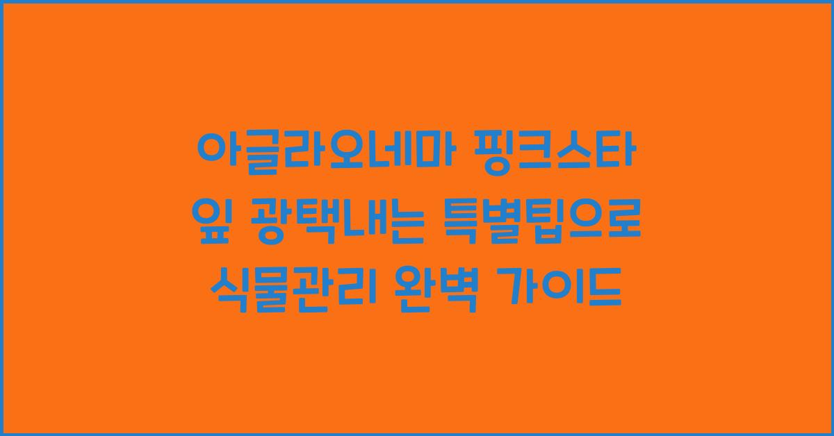 아글라오네마 핑크스타 잎 광택내는 특별팁