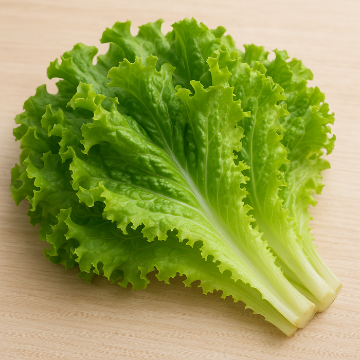 잎 채소 관련 사진