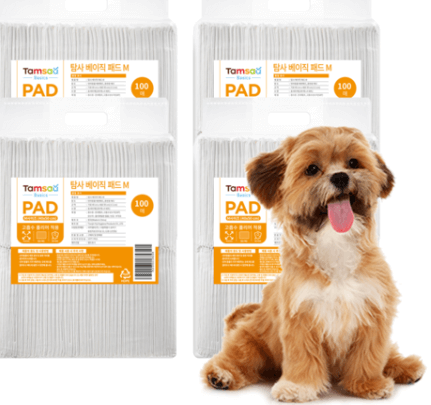 탐사 배변패드 베이직
