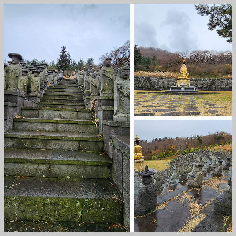 바람 부는 제주 산사