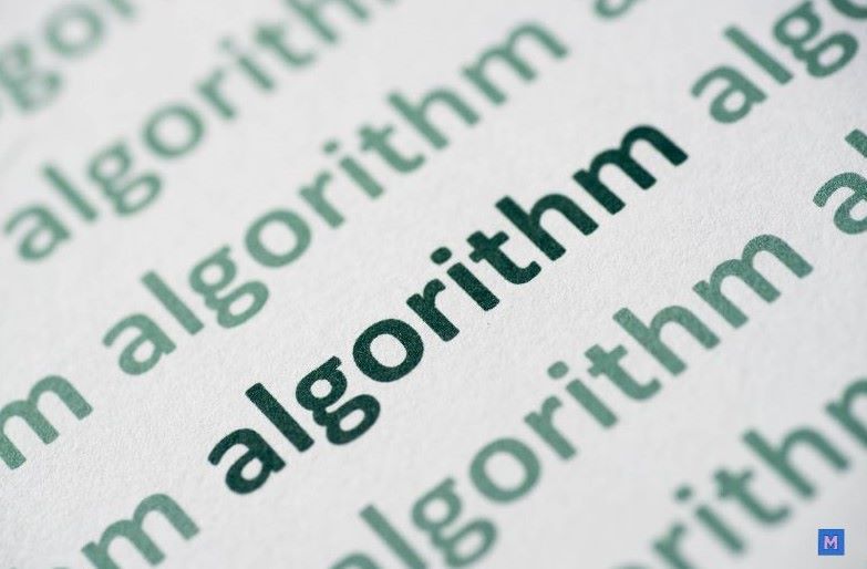 알고리즘 텍스트 클로즈업, 틱톡 추천 알고리즘의 핵심 개념 강조 via Canva