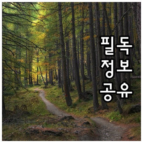 무료 혜택 2025 광진구 독거 어르..