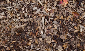 국립자연휴양림 예약통합시스템 국립자연휴양림 예약방법