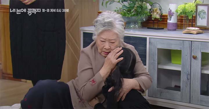 내 눈에 콩깍지 74회