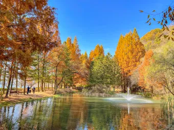 안동 가볼만한곳 베스트10 하회마을 병산서원 간고등어 맛집_16