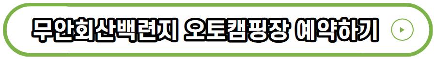 무안연꽃축제