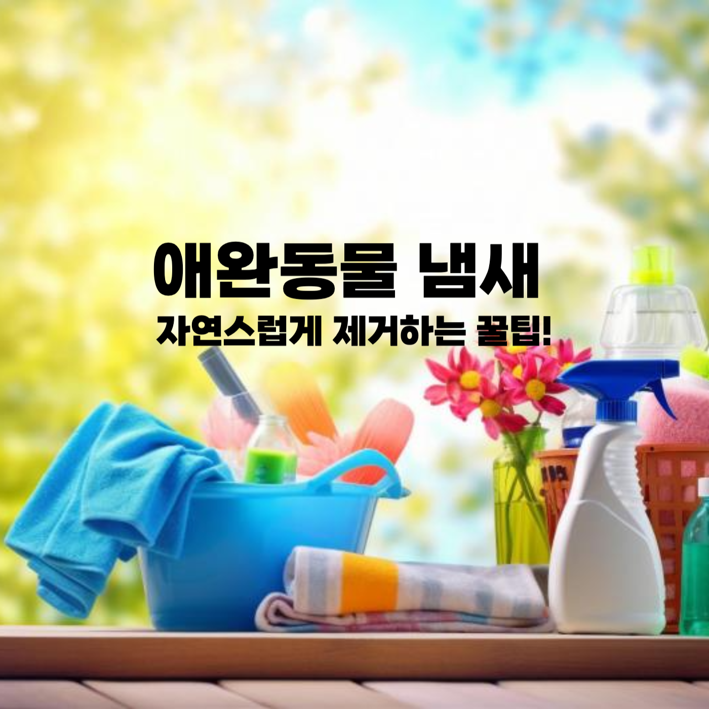 애완동물 냄새제거