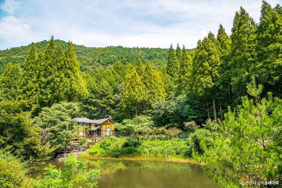 12월 가볼만한 곳 논산 온빛자연휴양림2