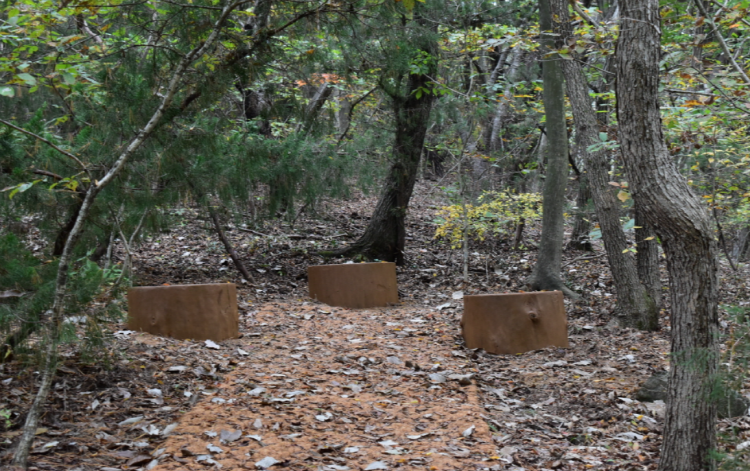 내장산 생태탐방원