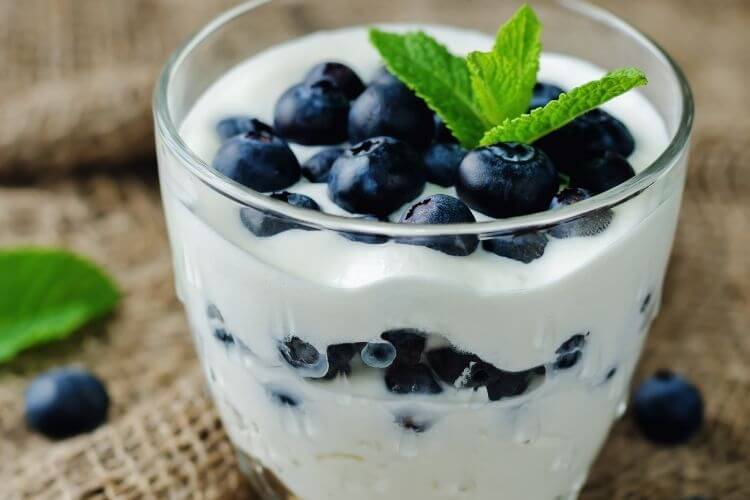 무가당 그릭 요거트와 블루베리 섭취는 장 건강에 유익함