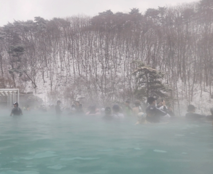 겨울/힐링/여행/추천/포레스트해브나인