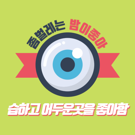 좀벌레 원인