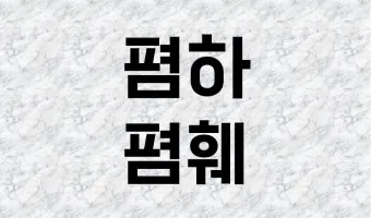 폄하 폄훼 뜻 가치 깎아내리다 헐뜯다 사용법_17