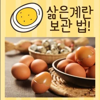 삶은 계란 보관법과 신선도 유지 비결_18