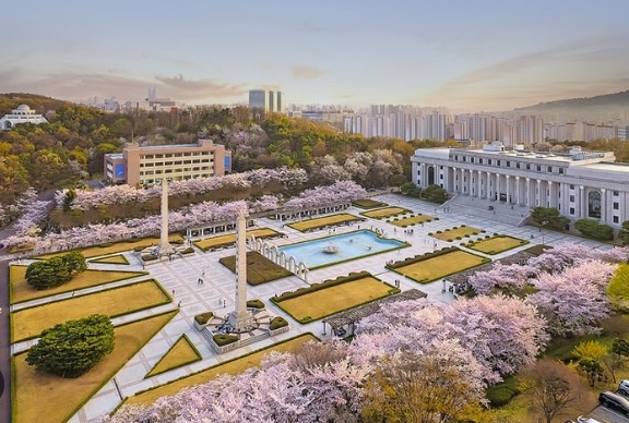 대학교 벚꽃 풍경