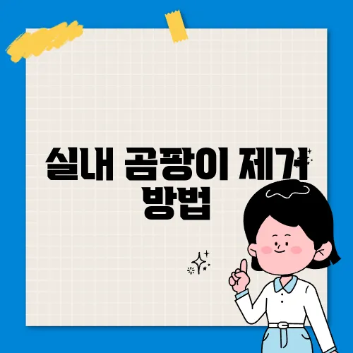 실내 곰팡이 제거 방법