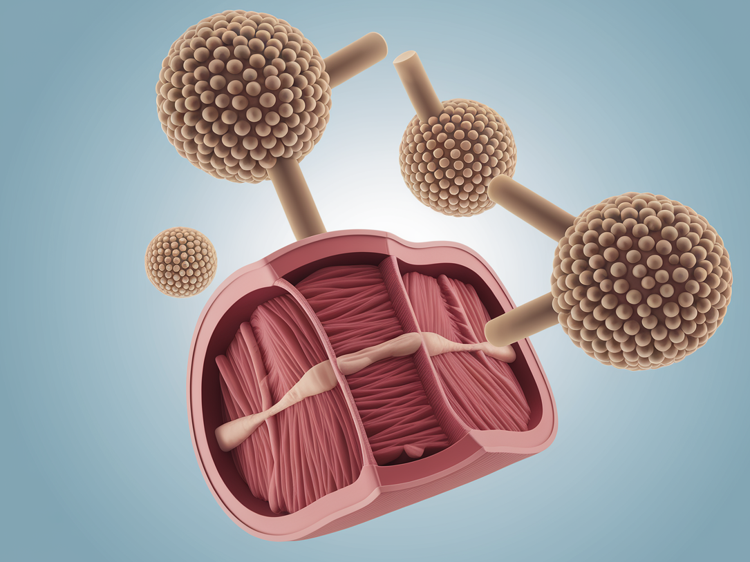 알부민 영양제의 효능과 부작용 설명 사진