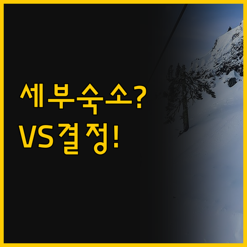 세부 여행의 숙소 선택 도심 퀘스트 ..