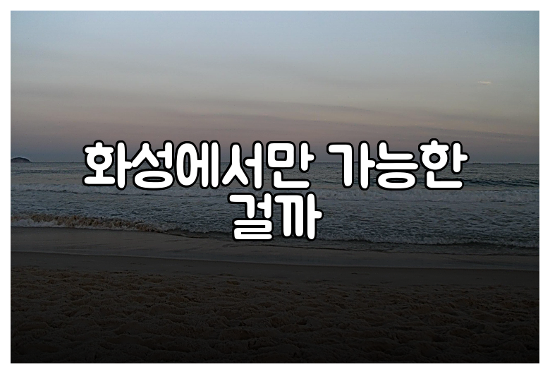화성에서만 가능한 걸까