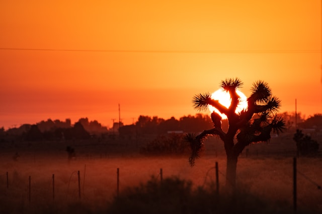 동해 일출 차박지, 나만 알고 싶은 숨은 명소 BEST