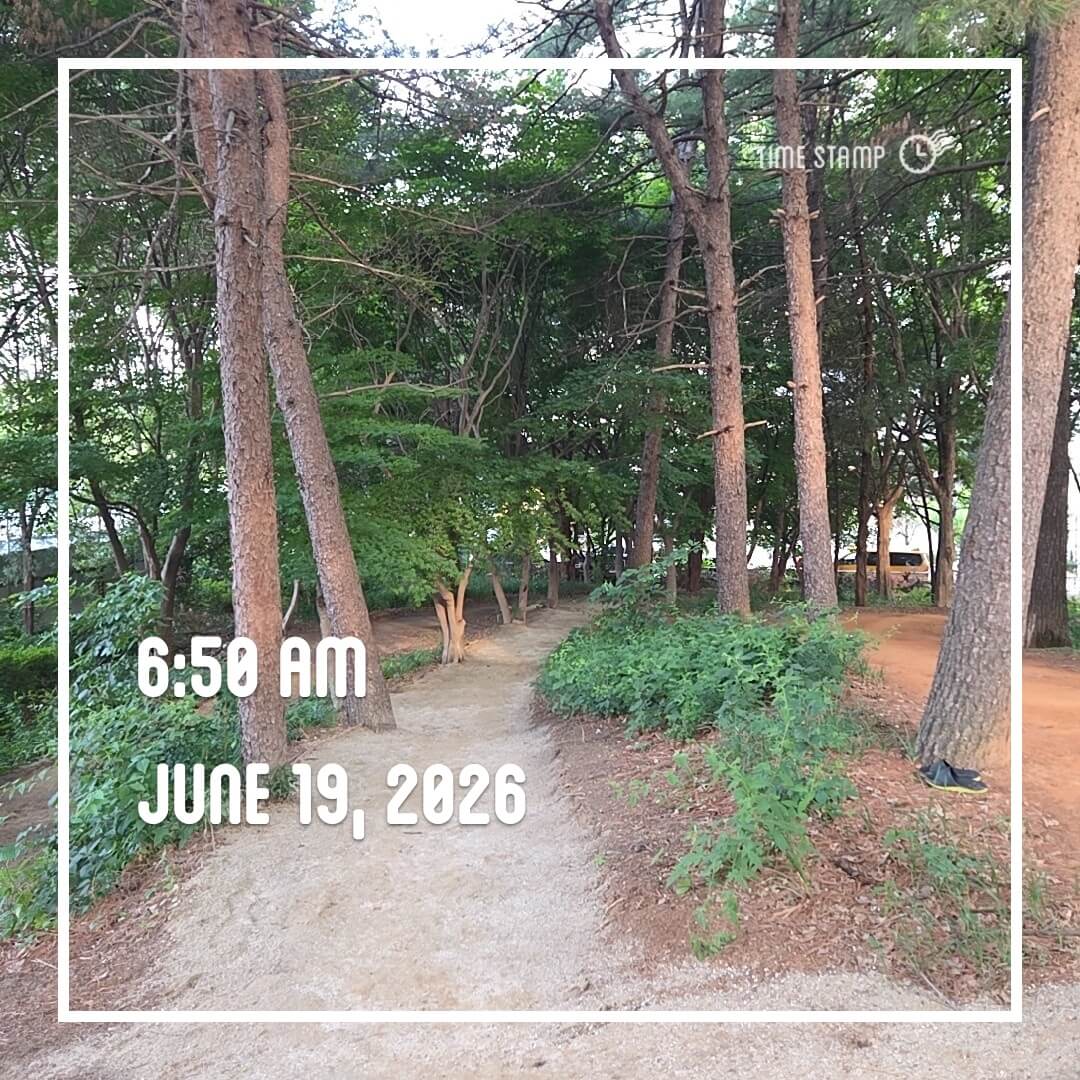 2026-06-19 아침걷기 사진