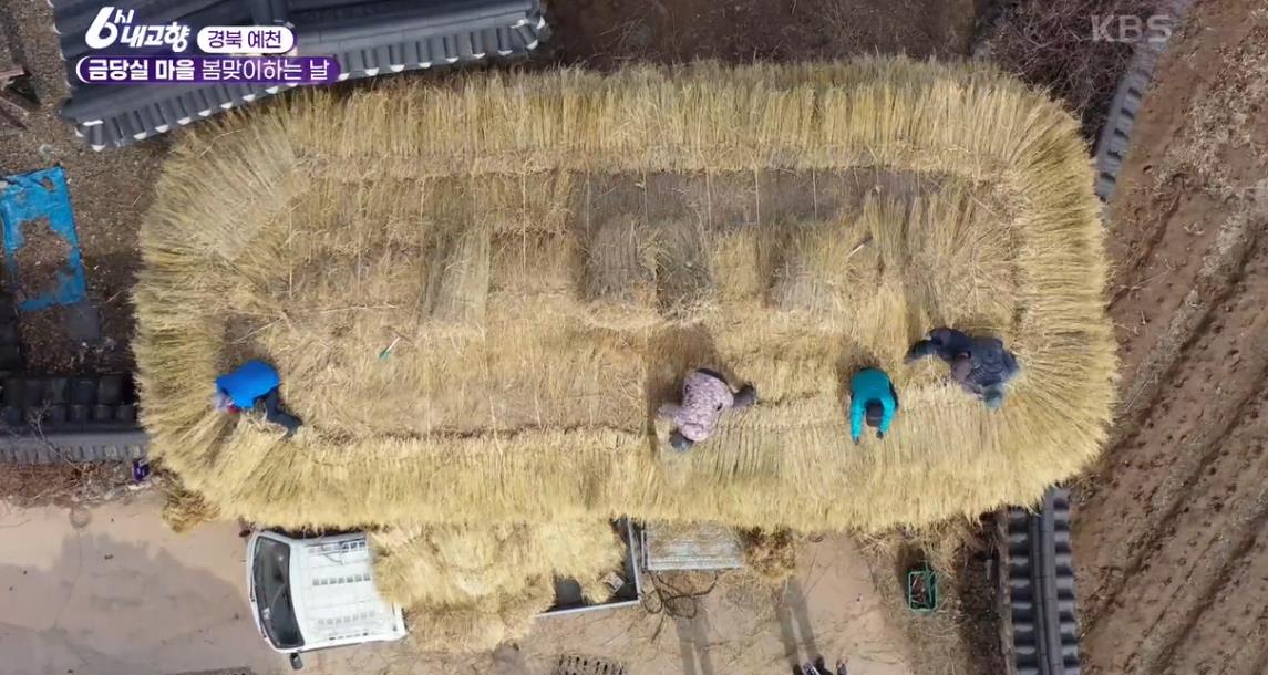 금당실마을-이엉잇기