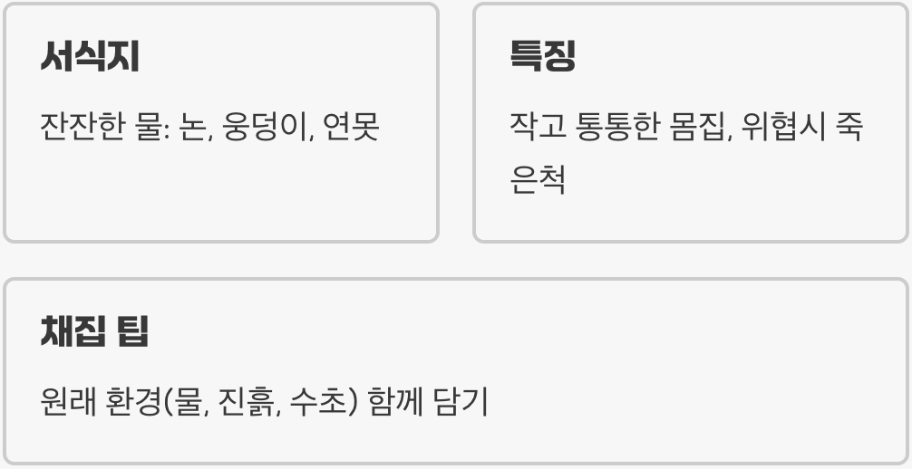 물속 작은 포식자와의 첫 만남