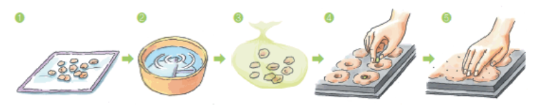남부,중부지방 고추 파종, 모종 심는 시기, 재배 방법, 수확 시기
