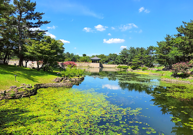 경주 동네별 세부 분석 &mdash; 실제 거주 기준으로 보는 경주 생활권 현실 정리