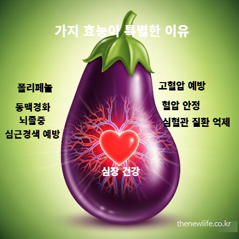 혈압 조절과 심혈관 건강에 좋은 가지의 효능을 나타내는 이미지