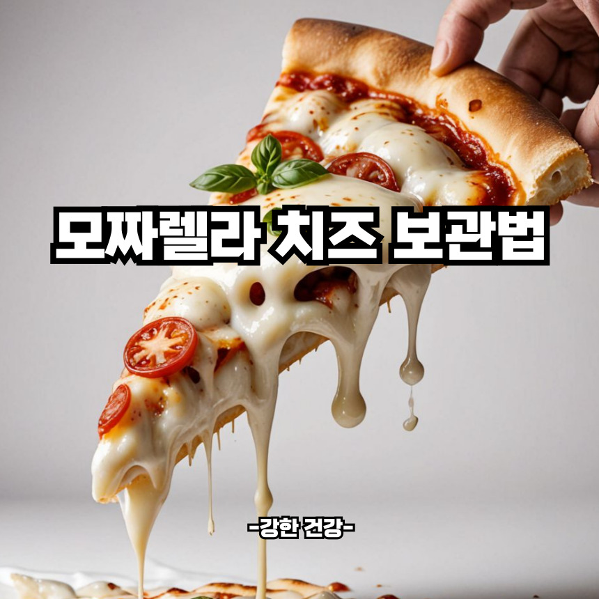모짜렐라 치즈 보관법
