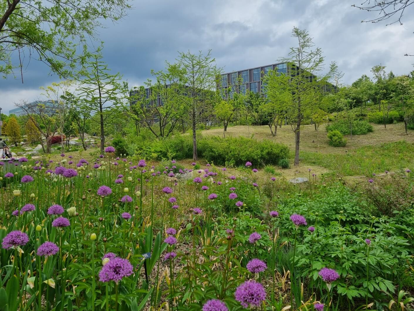 보라매공원 2025 서울 국제정원박람회 일정 가는 길