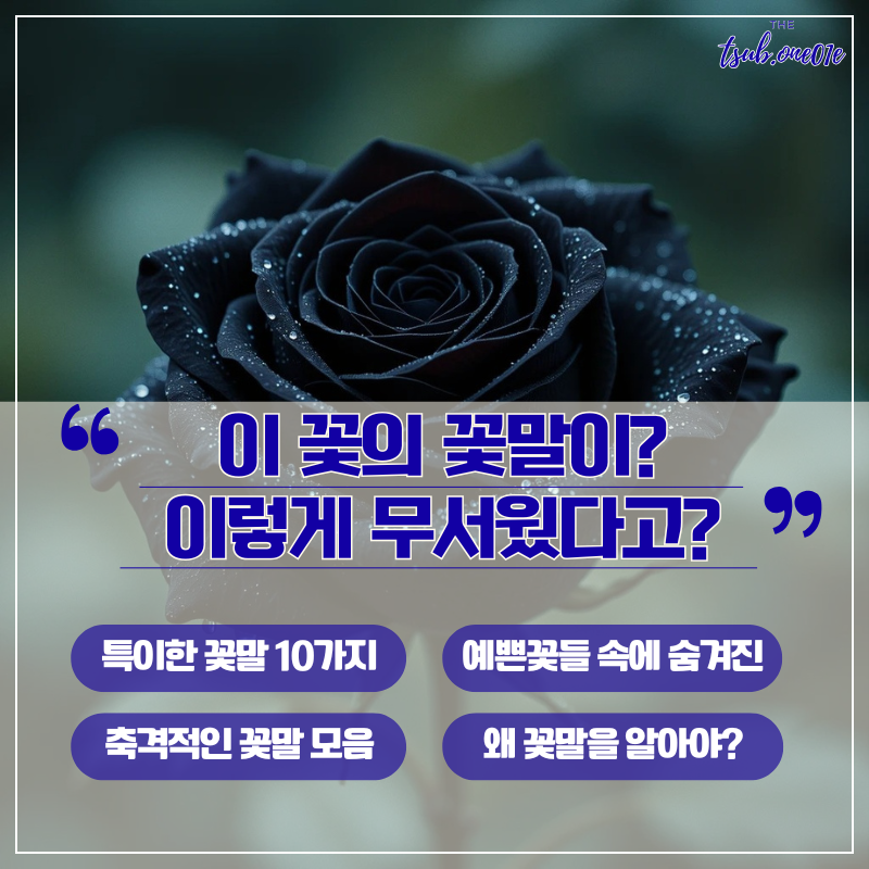 예쁜-꽃들-속에-숨겨진-무서운-의미들