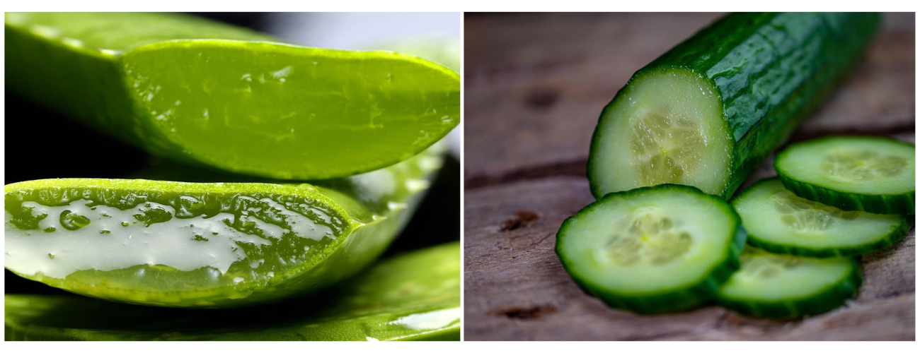 여름철 피부열, 자연 성분 6가지로 시원하게 관리법