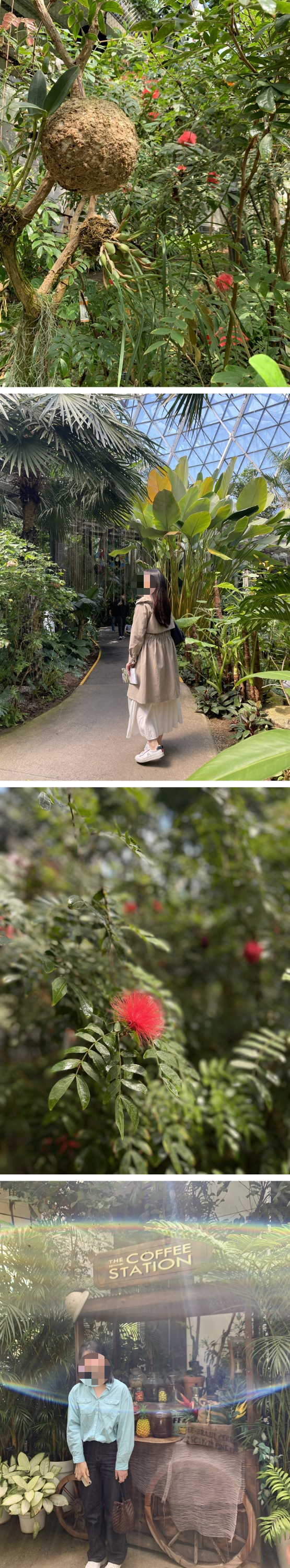 열대우림 생태관 모습