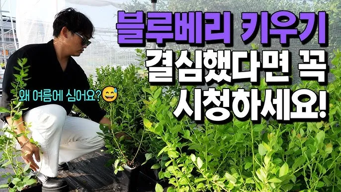 관수 방식 비교 드립 점적 스프링클러 살수장치 선택_4