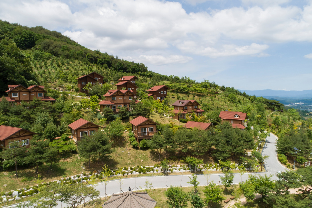 소백산의 푸른 산세와 조화를 이루며 넓게 조성된 국립산림치유원 다스림의 목조 건축물들과 울창한 숲이 어우러진 평화로운 풍경