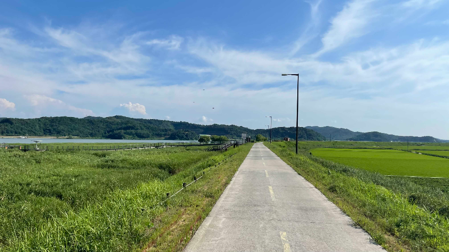 신성리 갈대밭