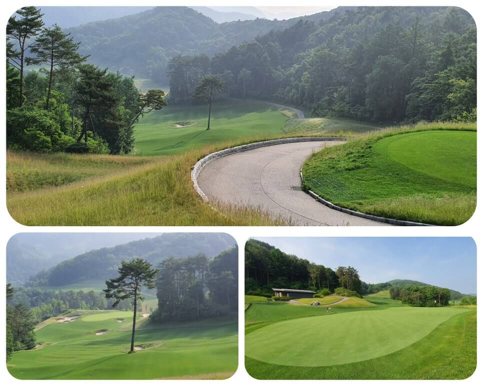 골프장 경험담 홍천 세이지우드cc 사람이 가장 쾌적함을 느끼는 해발 765m에서 경험하는 자연, 골프, 쉼